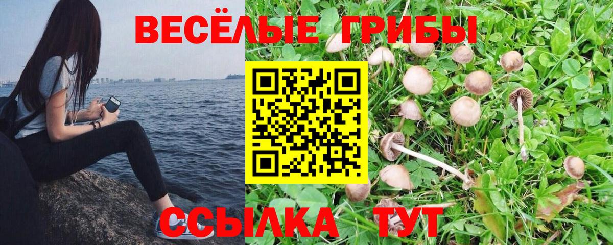Галлюциногенные грибы GOLDEN TEACHER Южно-Сахалинск