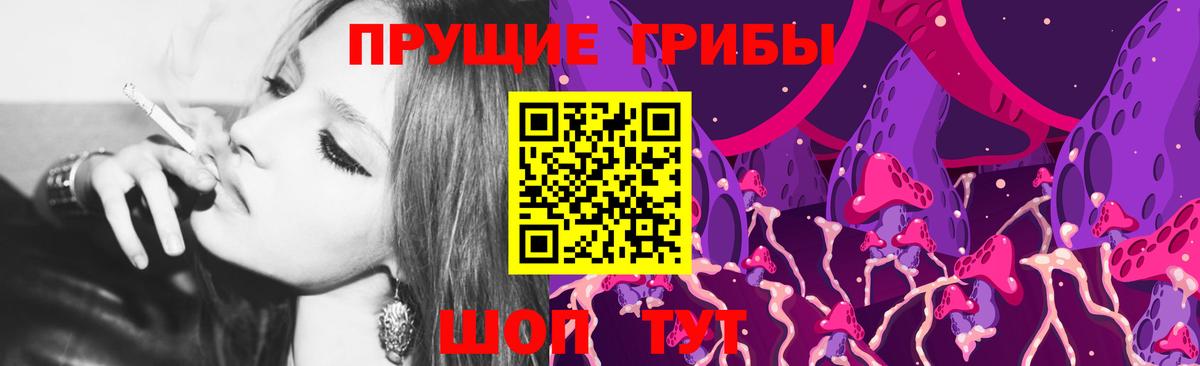 Южно-Сахалинск  Галлюциногенные грибы Psilocybe  Вход с VPN 
